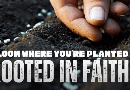 Bloom Where You’re Planted 1: Rooted in Faith